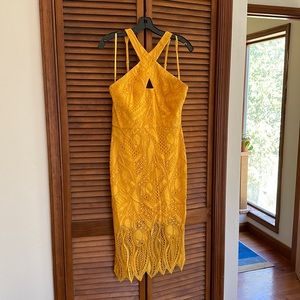 BCBG marigold fitted dress